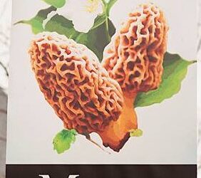Join Handelssted at the 66th National Morel Mushroom Festival, Art and Craft Show